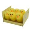 Kuikentjes Chenile Geel 6 In Box |