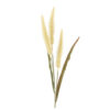 Kunst Pluim Pennisetum Creme |