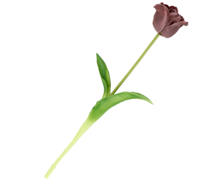 Kunst Tulp open real touch aubergine | Homebound