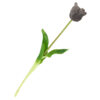 Kunst Tulp open real touch grijs | Homebound