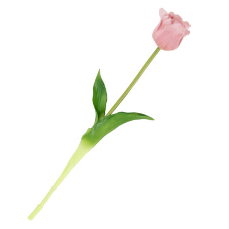Kunst Tulp open real touch roze | Homebound