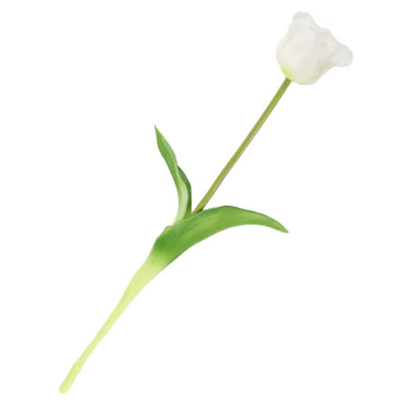 Kunst Tulp open real touch wit | Homebound