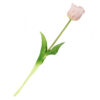 Kunst Tulp open real touch zachtroze | Homebound