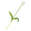 Kunst Tulp real touch wit | Homebound