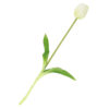 Kunst Tulp real touch wit/groen | Homebound
