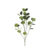 Kunstblad Eucalyptus |