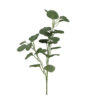 Kunstblad Eucalyptus groen div |