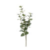 Kunstblad eucalyptus Cinerea groen S |