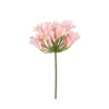 Kunstbloem Agapanthus Roze |