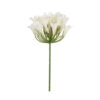 Kunstbloem Agapanthus Wit |
