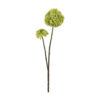 Kunstbloem Allium Groen |