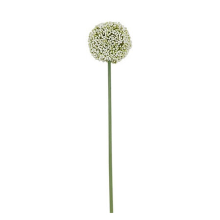 Kunstbloem Allium wit S |