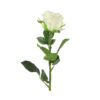 Kunstbloem Bloem Rosa Wit |