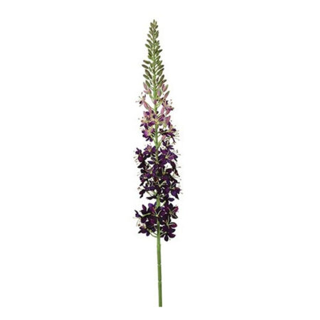 Kunstbloem Eremurus Paars S | Countryfield