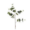 Kunstbloem Eucalyptus Cinerea groen L |