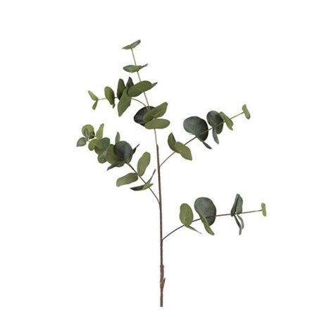 Kunstbloem Eucalyptus Cinerea groen L |