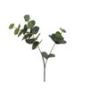 Kunstbloem Eucalyptus Cinerea groen S |
