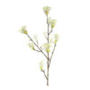 Kunstbloem Knop Cornus mas wit L |