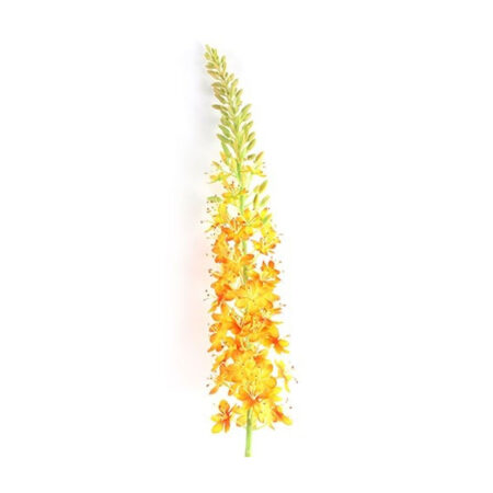 Kunstbloem Lythrum Oranje S | Countryfield