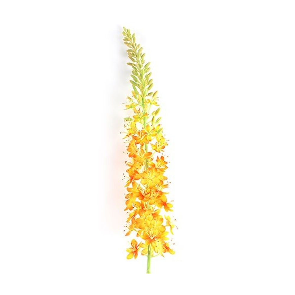Kunstbloem Lythrum Oranje S | Countryfield