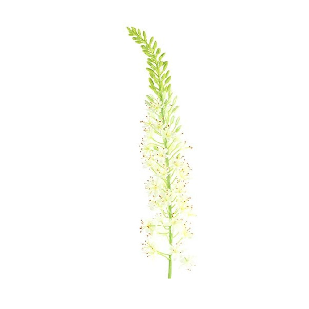 Kunstbloem Lythrum Wit S | Countryfield