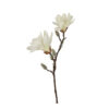 Kunstbloem Magnolia Chayca Wit S | Countryfield