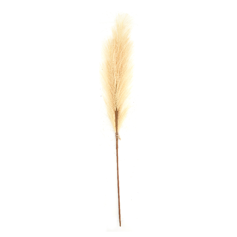 Kunstbloem Pluim 77x8x3cm beige | Dijk Natural Collections