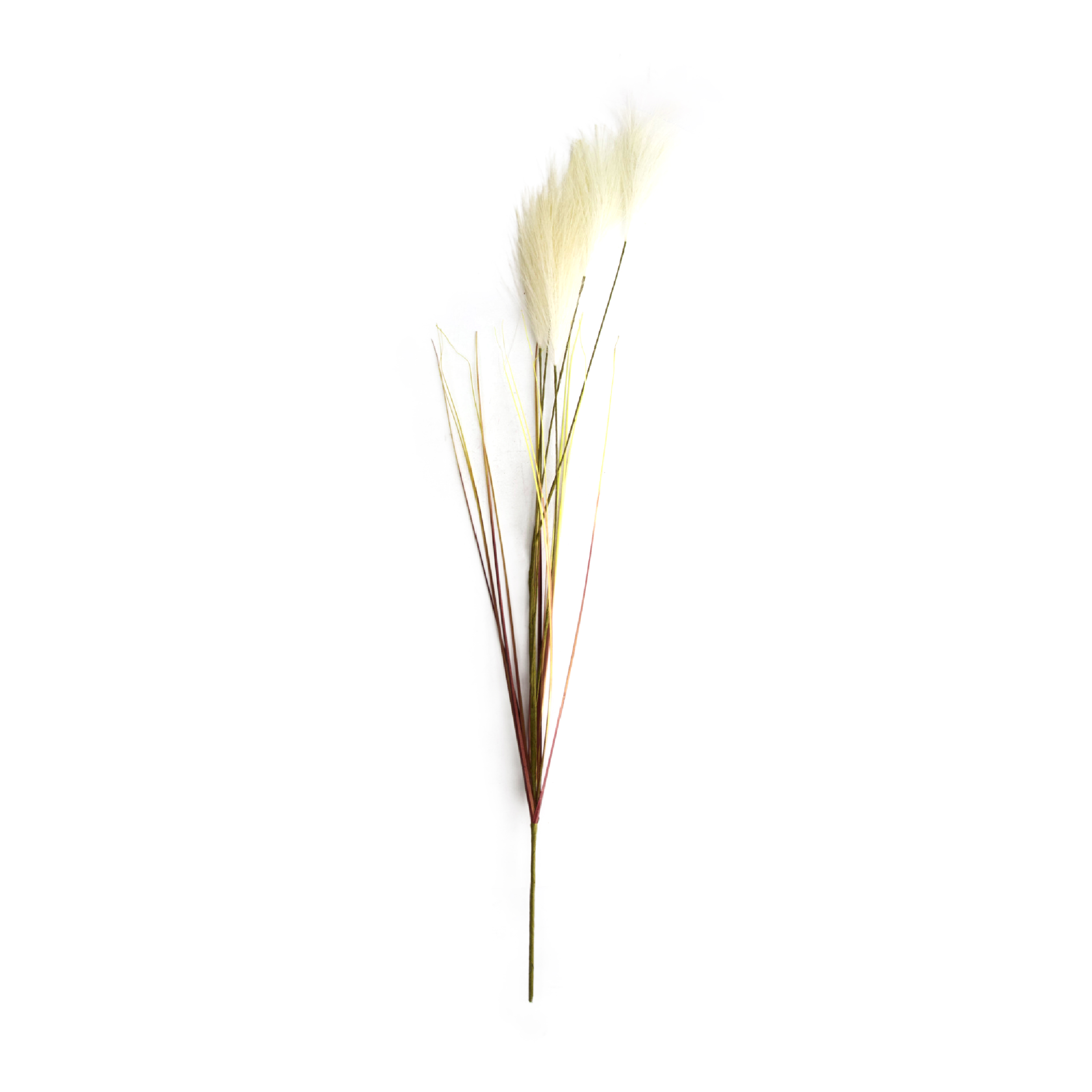 Kunstbloem Pluim 78x10x3cm beige | Dijk Natural Collections
