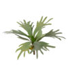 Kunstbloem Staghorn |