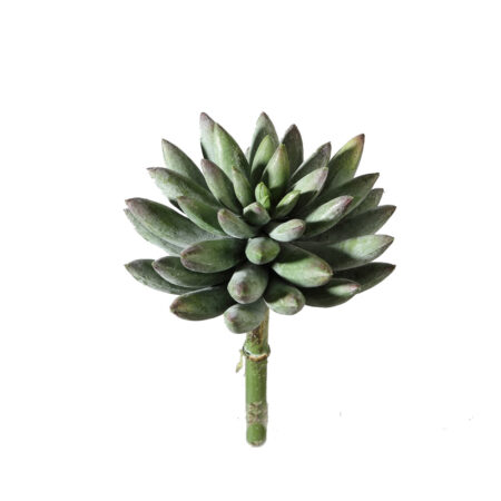 Kunstbloem Succulent 131176 |