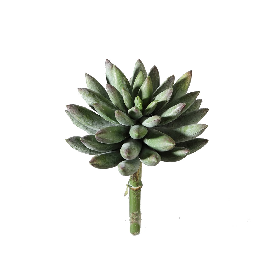 Kunstbloem Succulent 131176 |