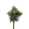 Kunstbloem Succulent spiky 32cm |