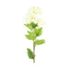 Kunstbloem Viburnum Creme |