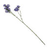 Kunstbloem anjer paars 56cm |