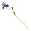 Kunstbloem iris paars 80cm |