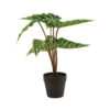 Kunstplant Alocasia Liane Groen |