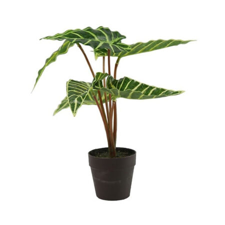 Kunstplant Alocasia Liane Groen |