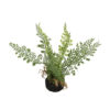Kunstplant Asparagus groen S |
