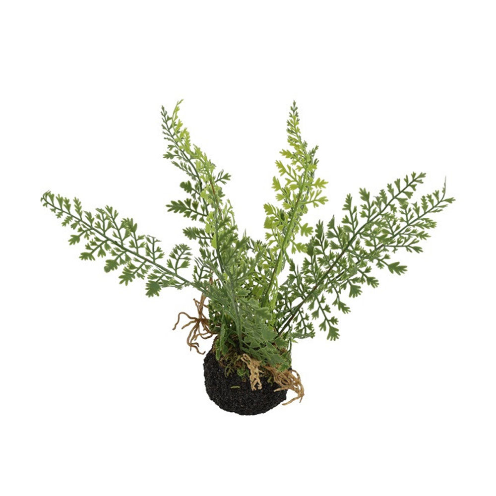 Kunstplant Asparagus groen S |