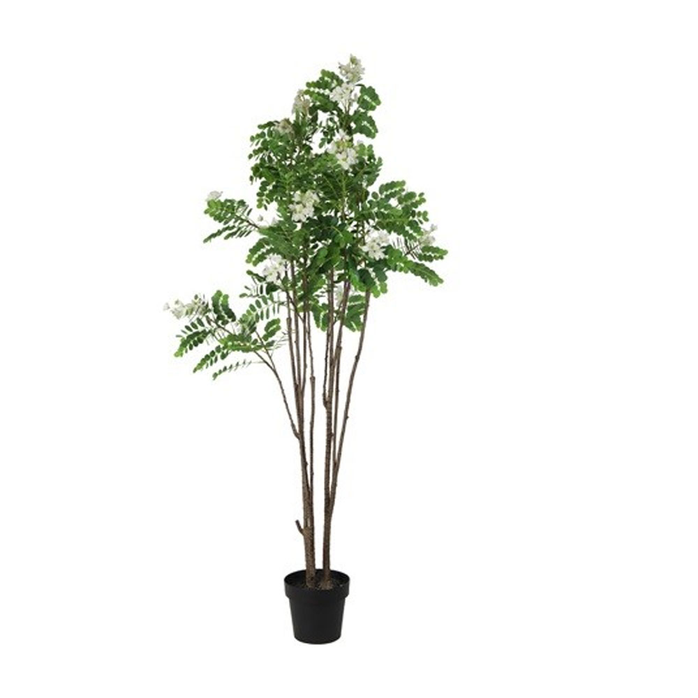 Kunstplant Cassia Glauca wit L | Countryfield