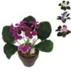 Kunstplant In Pot Kaaps Viooltje 16 Cm |