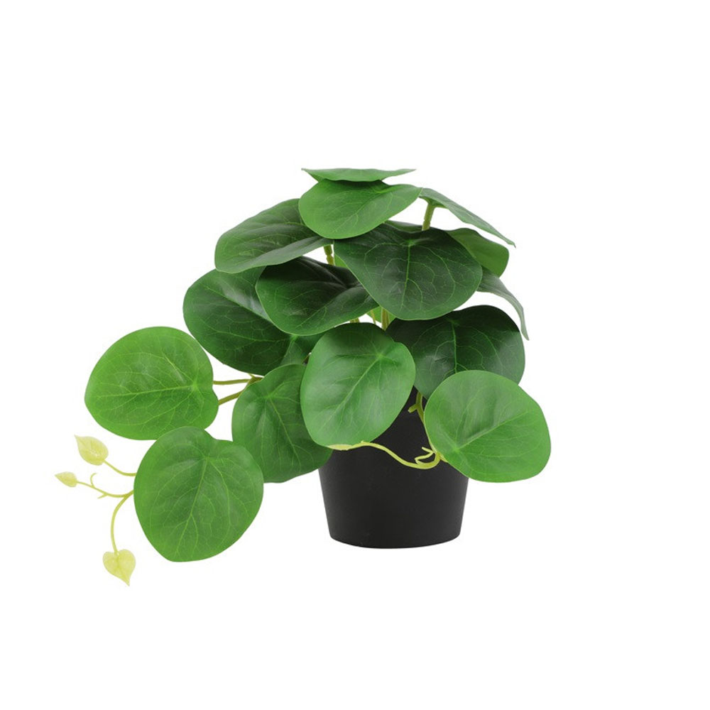 Kunstplant Peperomia groen |