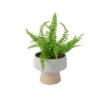 Kunstplant Varen h24cm | Decoris