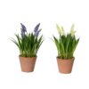 Kunstplant druifjes in pot Ø11xH26cm | Decoris