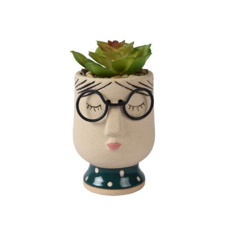 Kunstplant in pot gezicht/bril h13