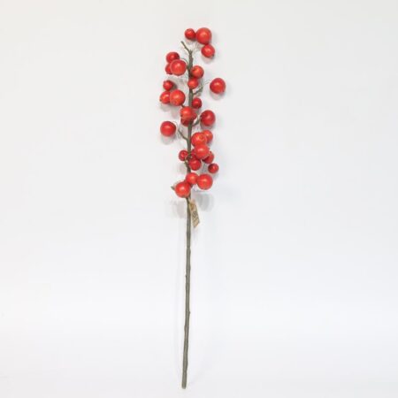 Kunsttak met appeltjes L66cm Rood | HBX natural living