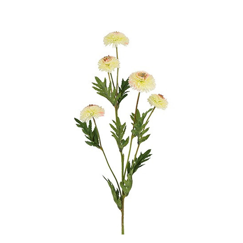 Kuntsbloem Helichrysum wit |