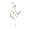 Kuntsbloem Viburnum Wit |