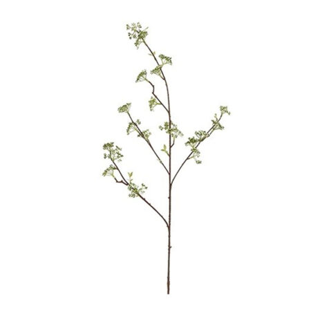 Kuntsbloem Viburnum Wit |