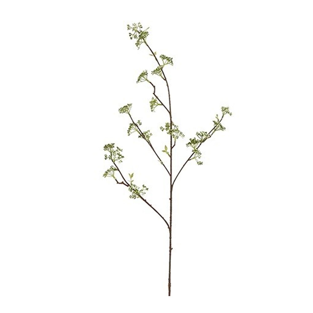 Kuntsbloem Viburnum Wit |